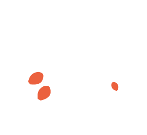 Pod Dziką Różą